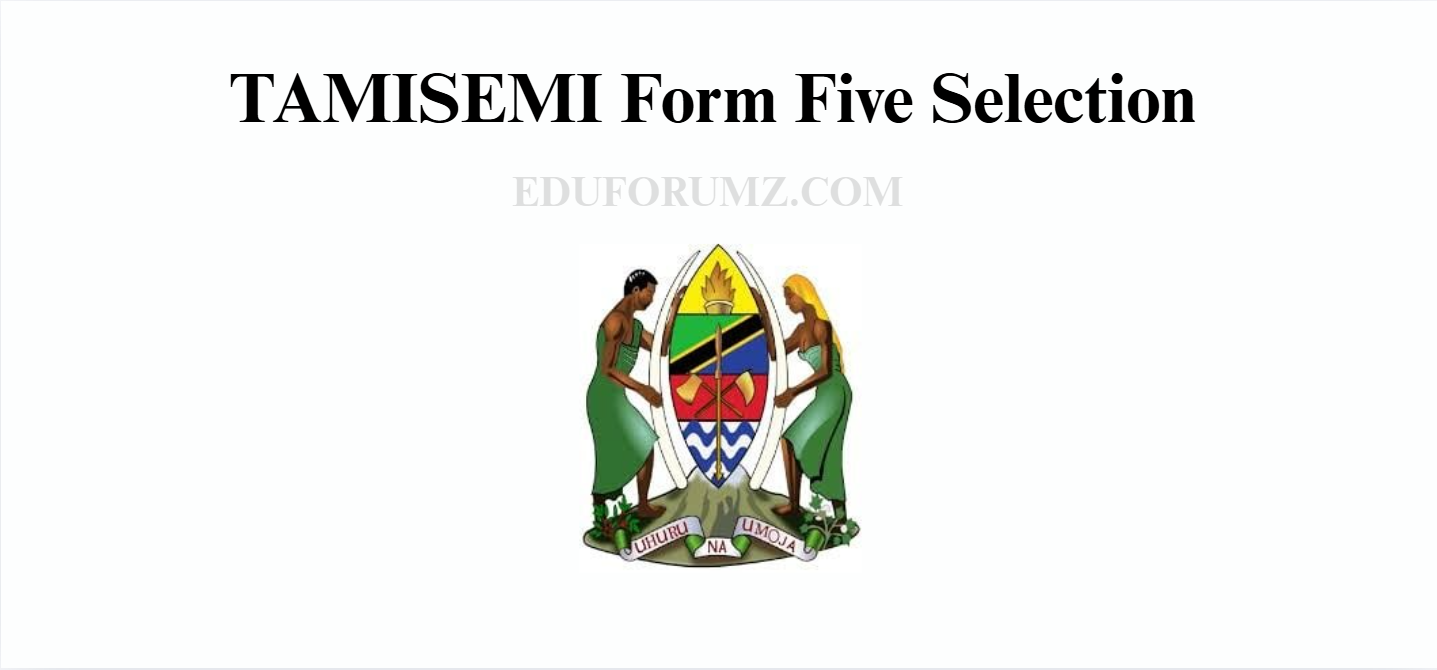 TAMISEMI Form Five Selection