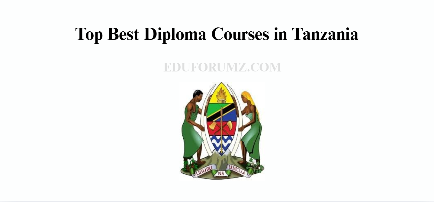Top Best Diploma Courses in Tanzania
