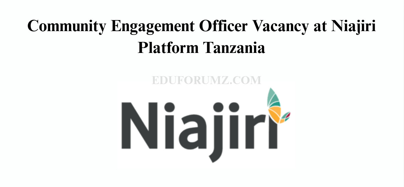 Community Engagement Officer Vacancy at Niajiri Platform Tanzania